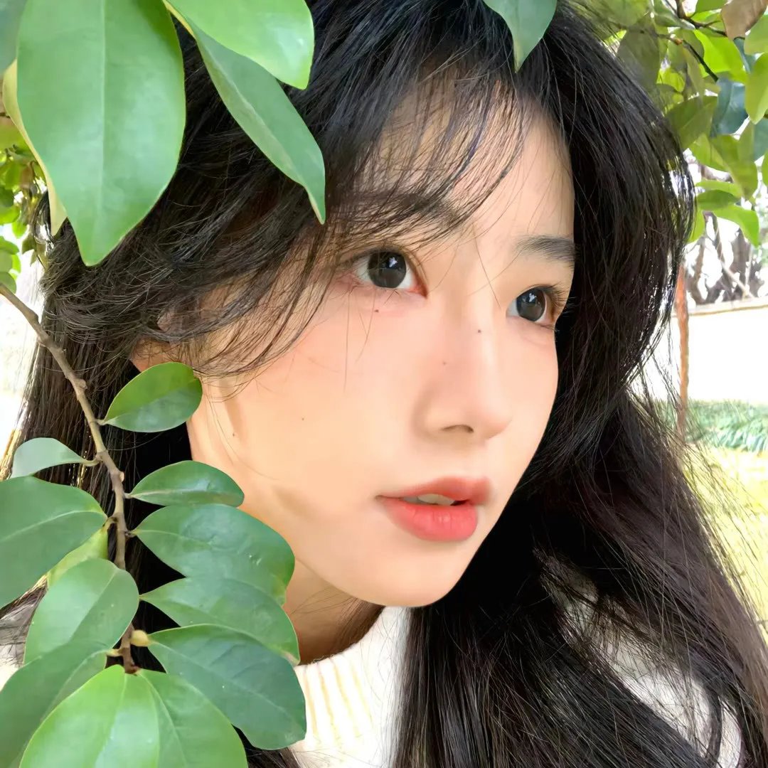 启航 封面