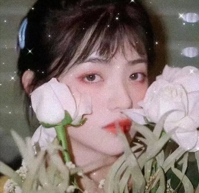 春色无边满人间 封面